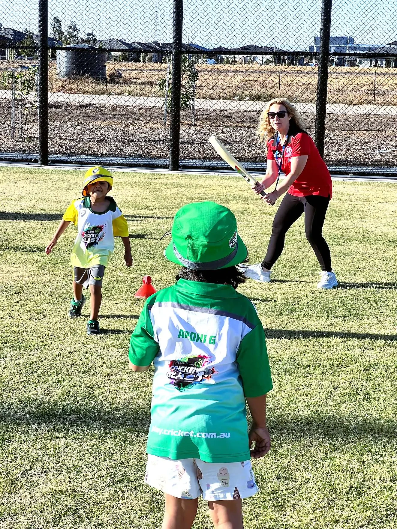 Cricket photograph