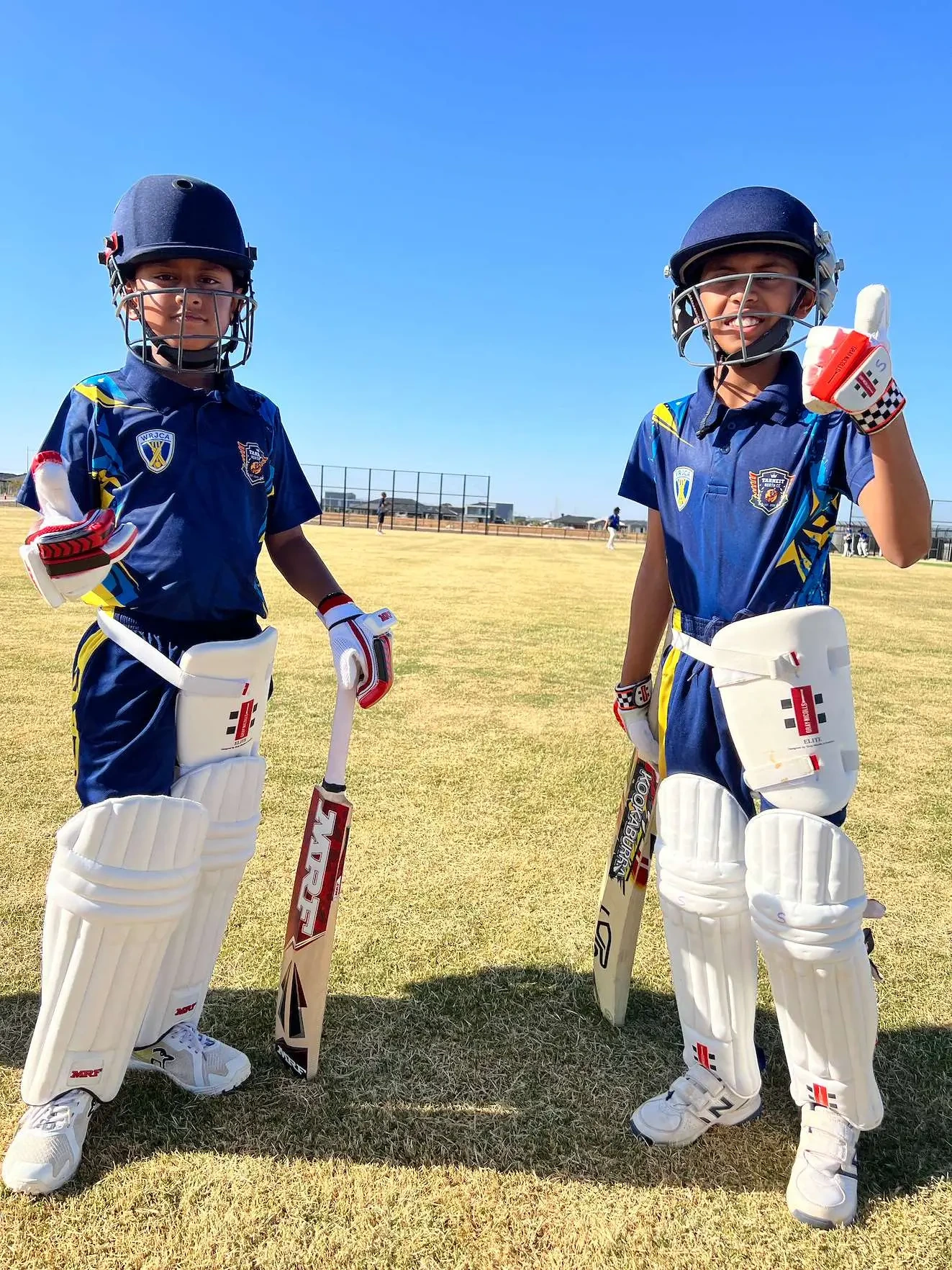 Cricket photograph